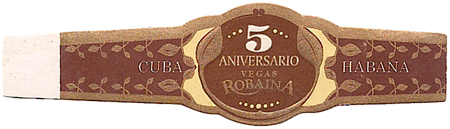 5th Anniversary Band